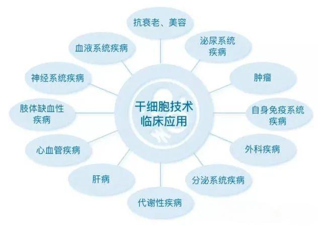 干细胞修复机理