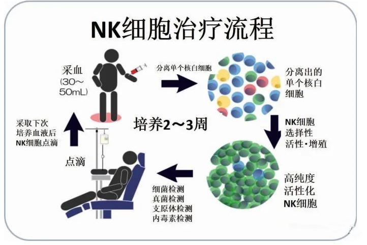 回输60亿NK细胞后,身体会有哪些惊人的变化? 回输60亿NK细胞后,身体会有哪些惊人的变化?