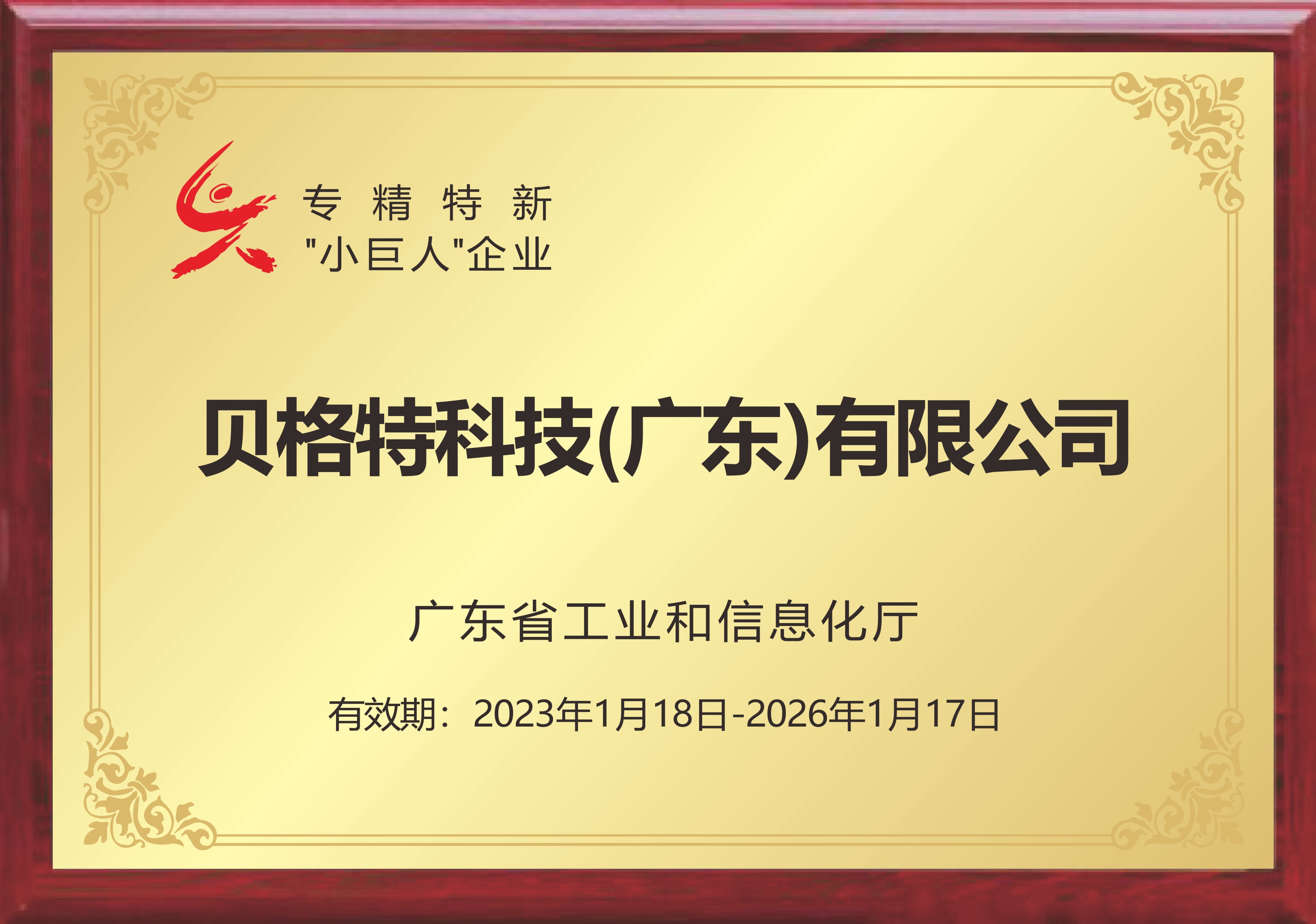 Specialized and specialized small giant enterprises Specialized and specialized small giant enterprises