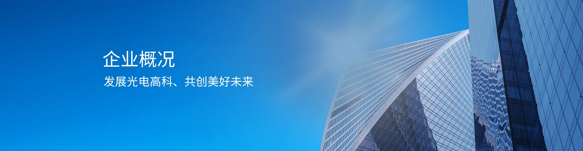 企業(yè)概況 企業(yè)概況