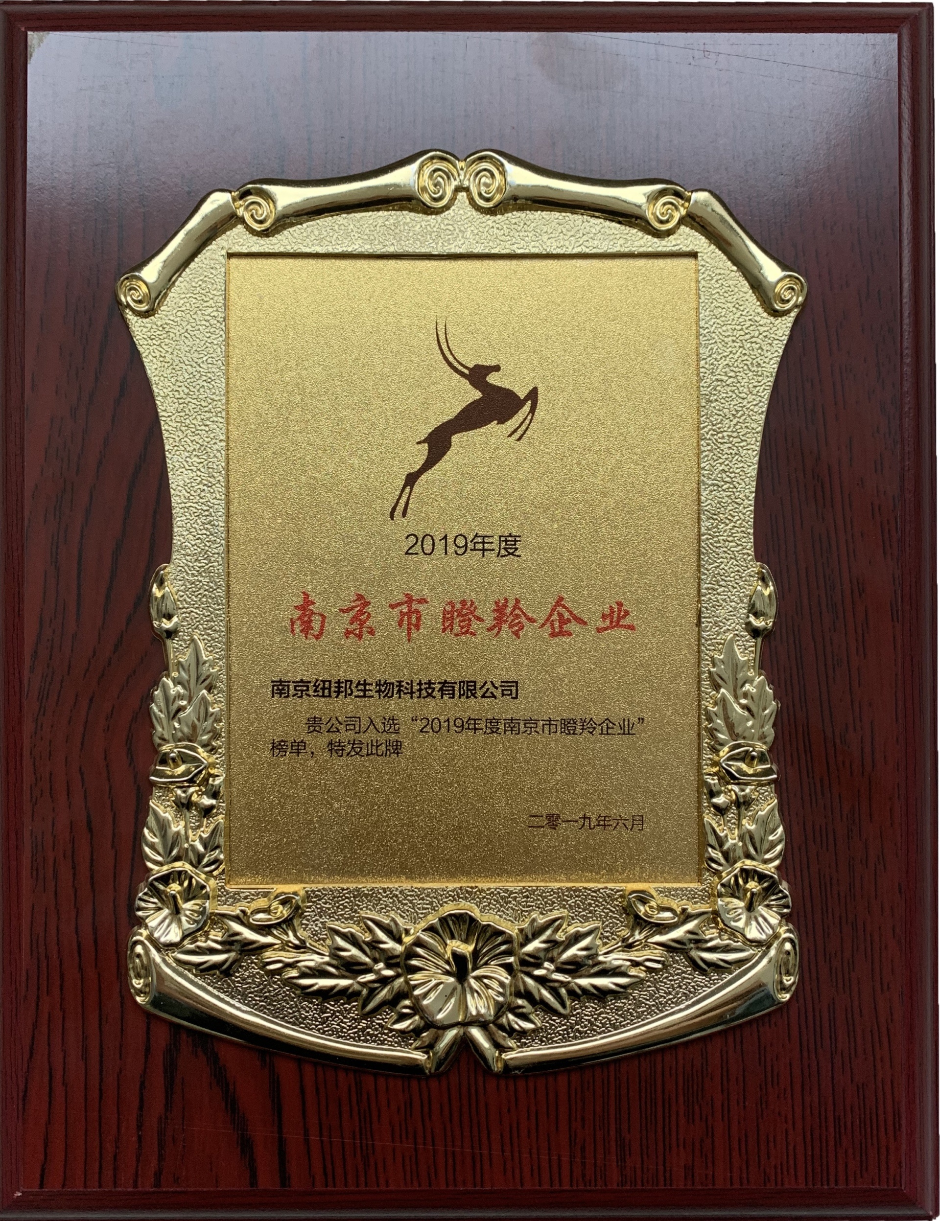 南京市瞪羚企業 南京市瞪羚企業
