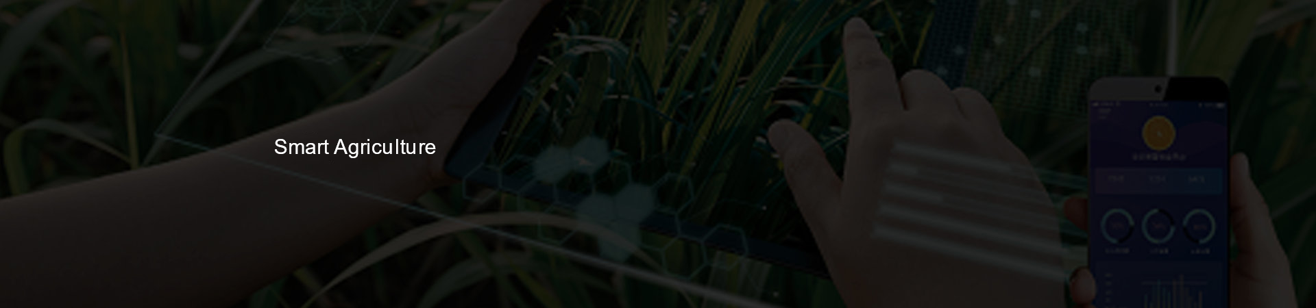 1as3.png 1as3.png