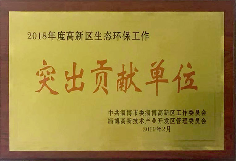 Honors and Qualifications