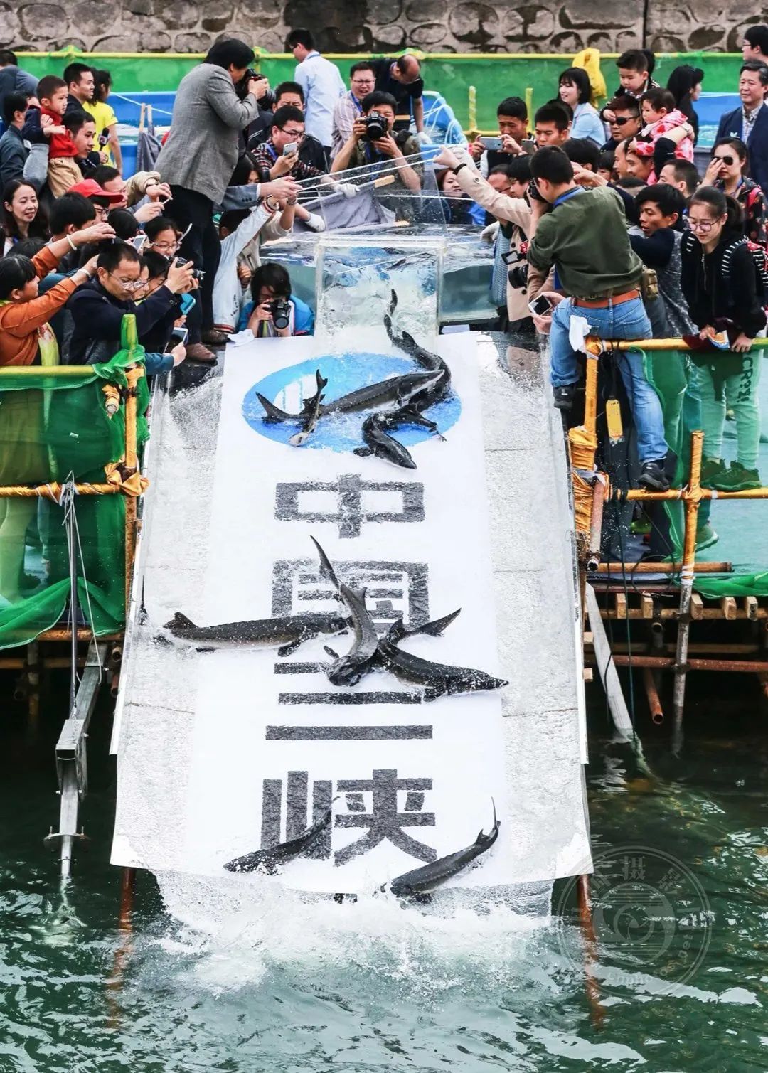 点击打开原图