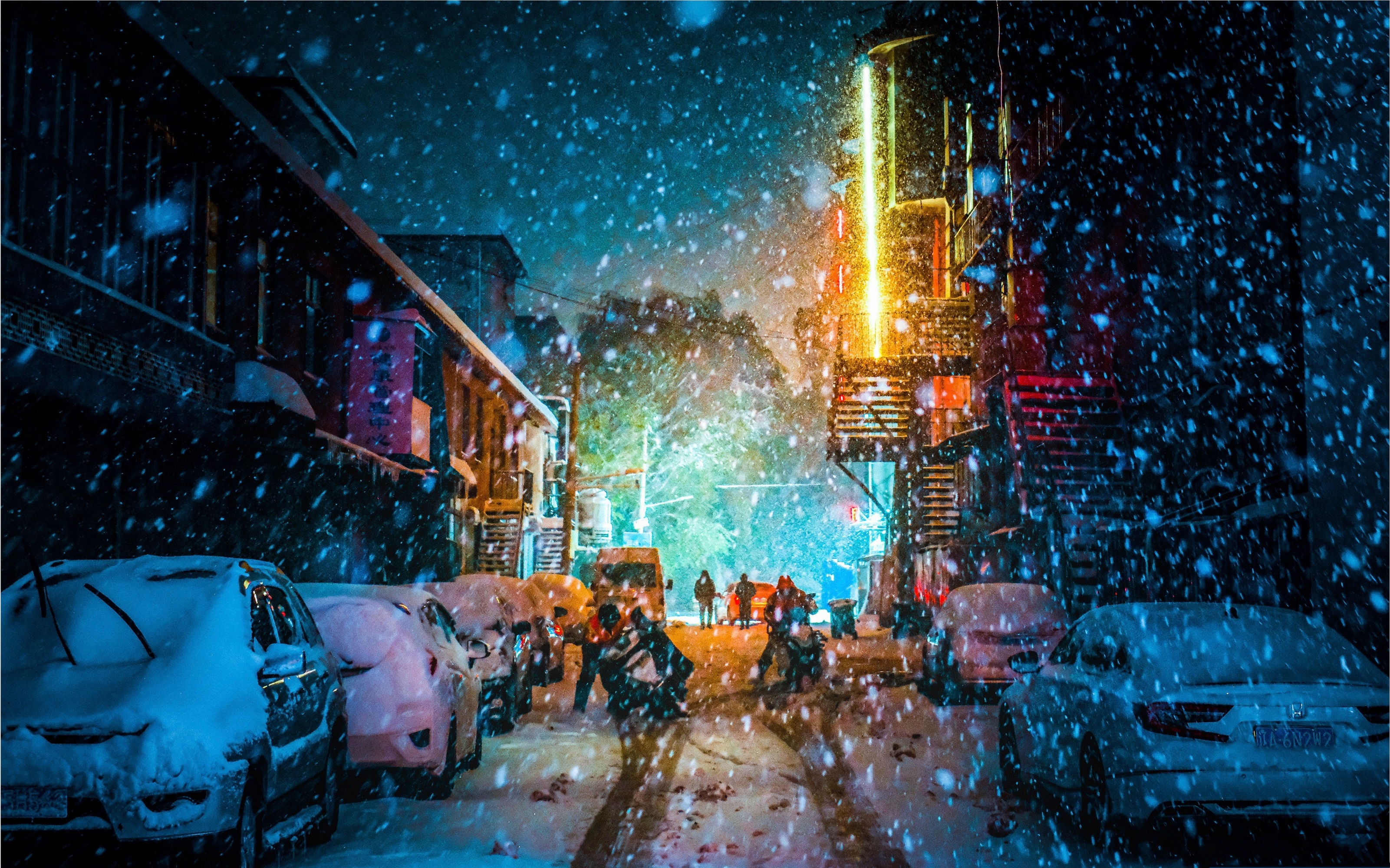成都大学:2023雪落