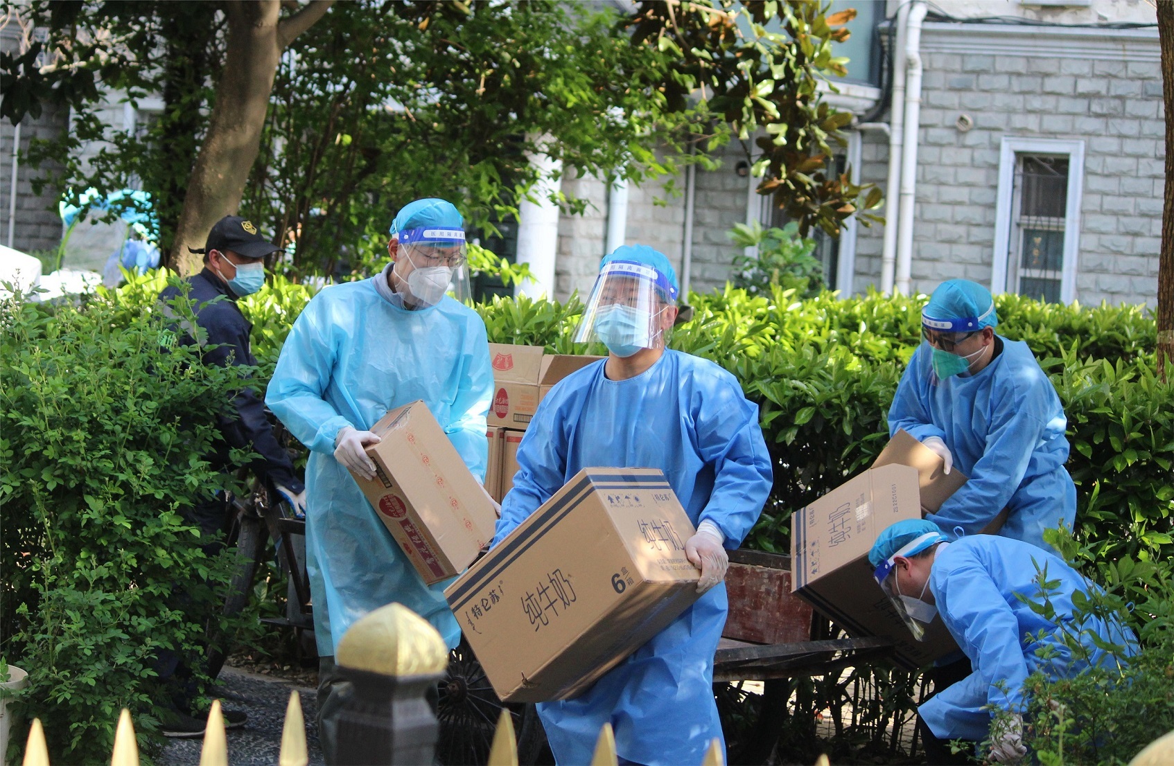 上海思博职业技术学院:花开疫散