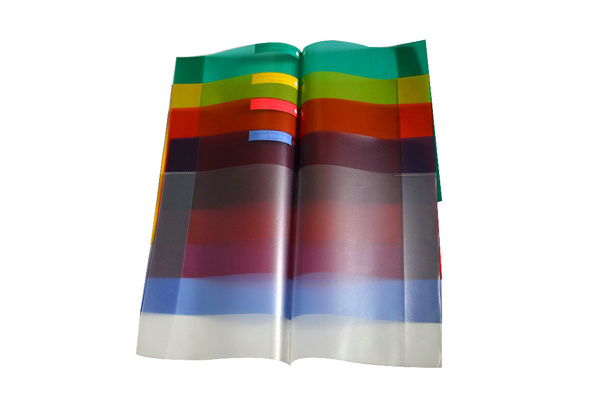 Color Transparent Book Cover