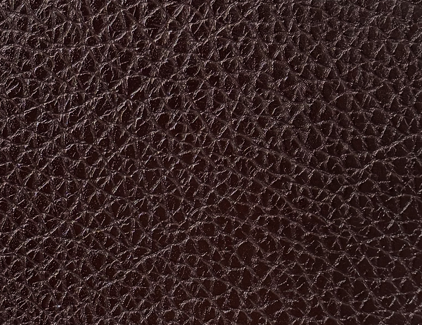 V2021(Large lychee tree paste)