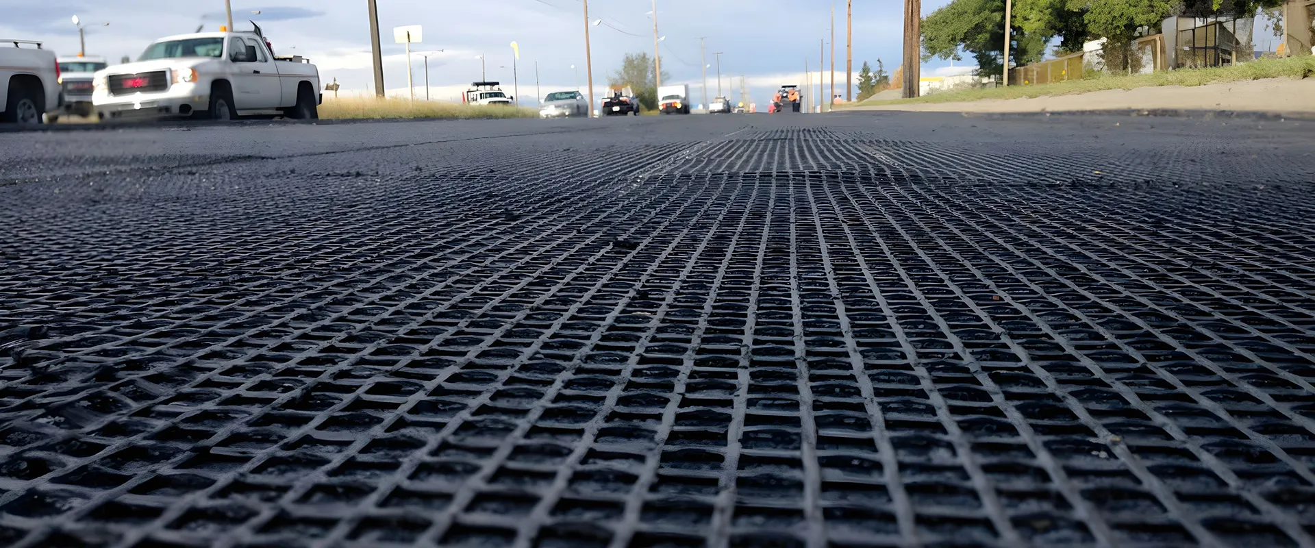 GEOGRID