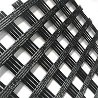 Polyester Geogrid