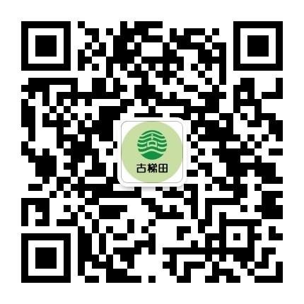 公众号