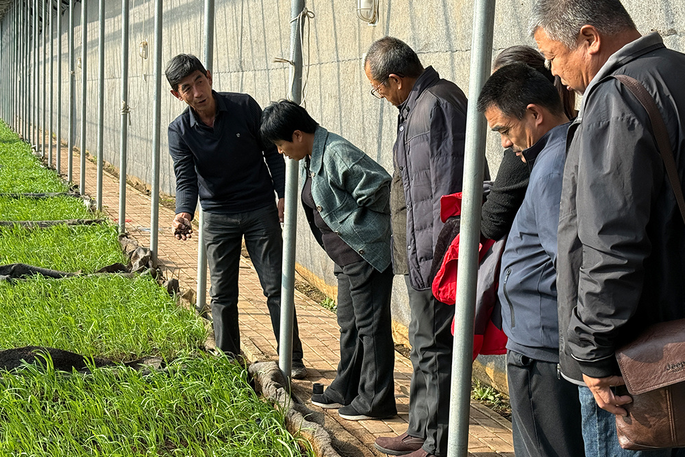 唤醒土地记忆,重建人与自然的共生纽带 唤醒土地记忆,重建人与自然的共生纽带