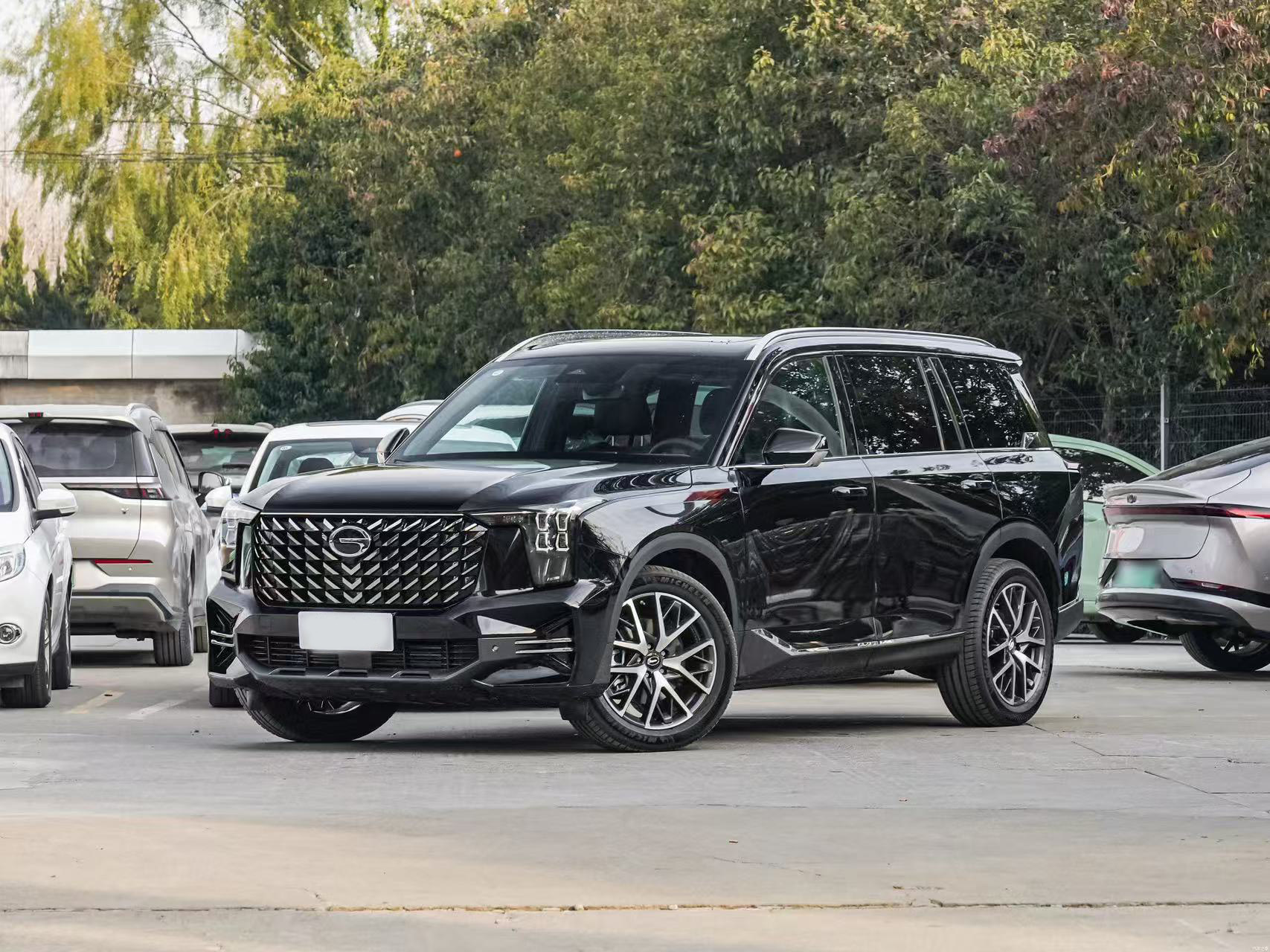 Transcend GS8 2025 Pilot Series 2.0TGDI 4WD Luxury 5-Seater