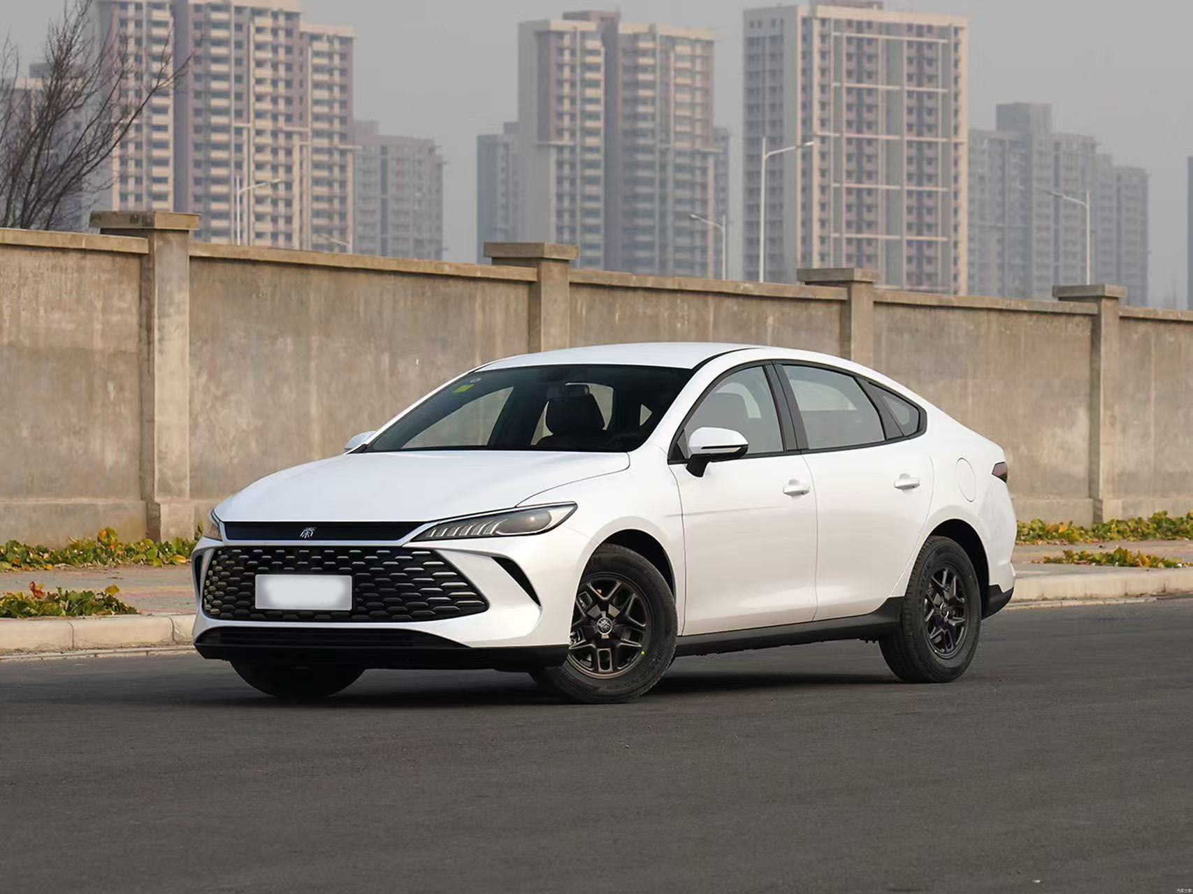 QIN PLUS 2025 EV Intelligent Driving Edition 510KM Beyond