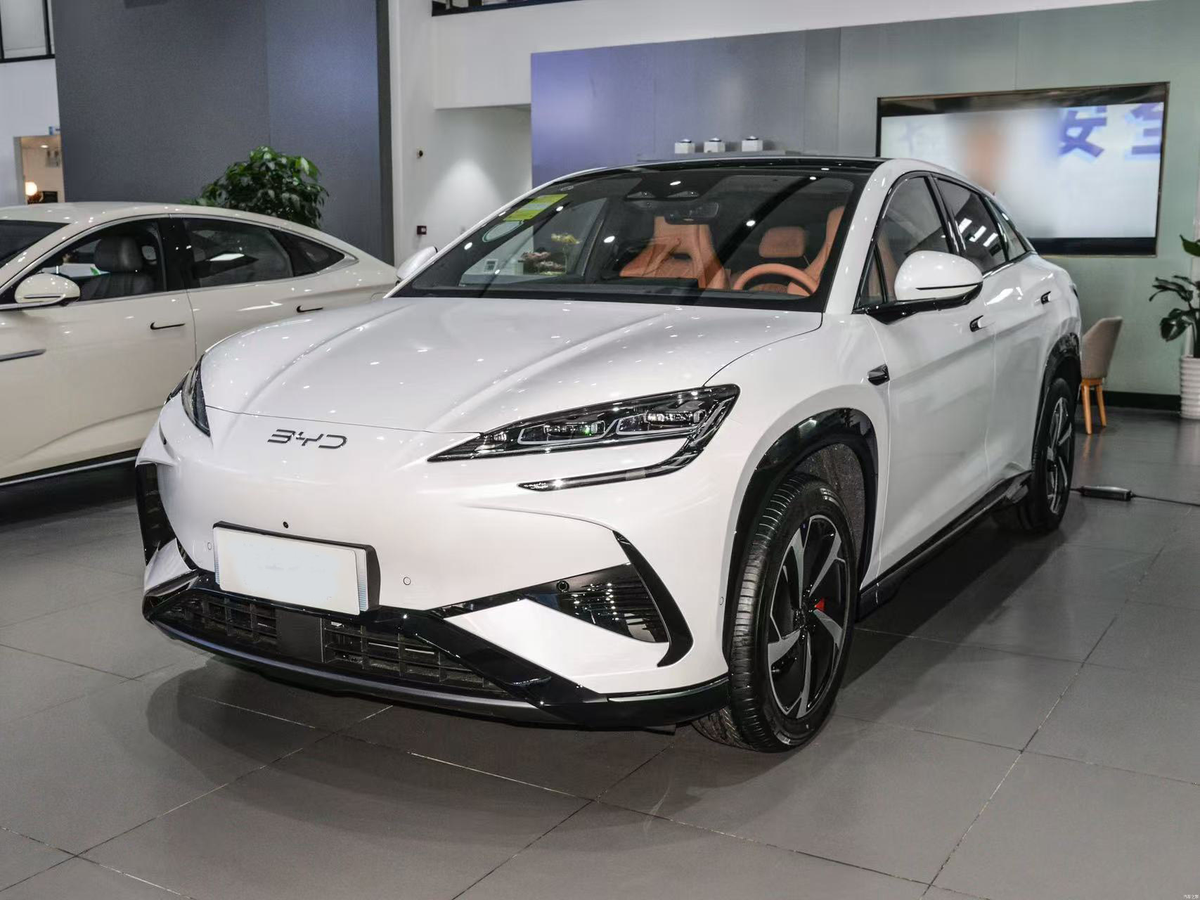 Sea Lion 07 EV 2025 550 4WD Intelligent Driver Edition