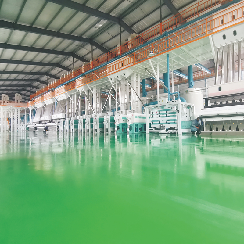 300,000-ton-per-year complete automated rice milling project
