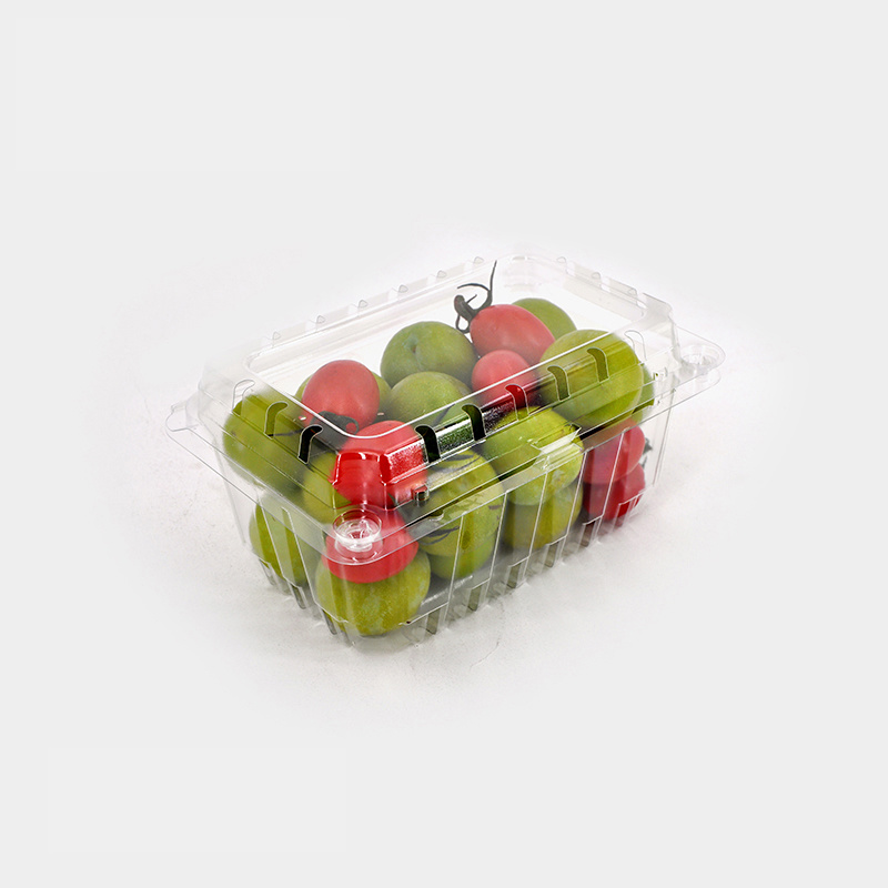 Fruit Hinged Lid Container