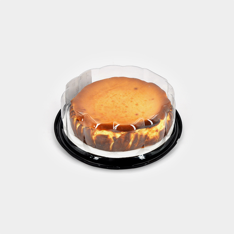 Plastic Cake Container