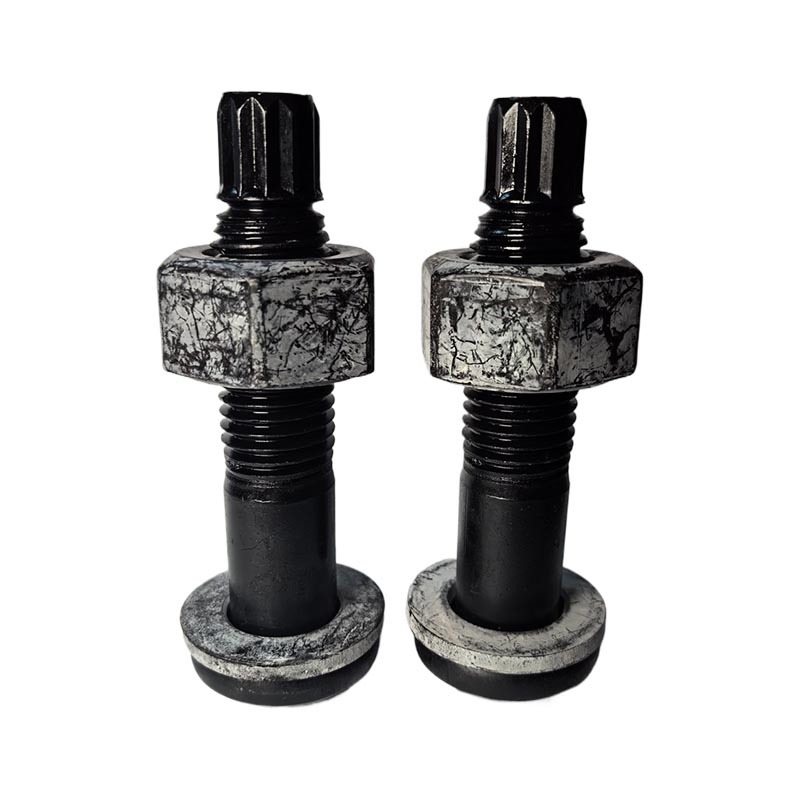 Steel structure torsional shear bolts