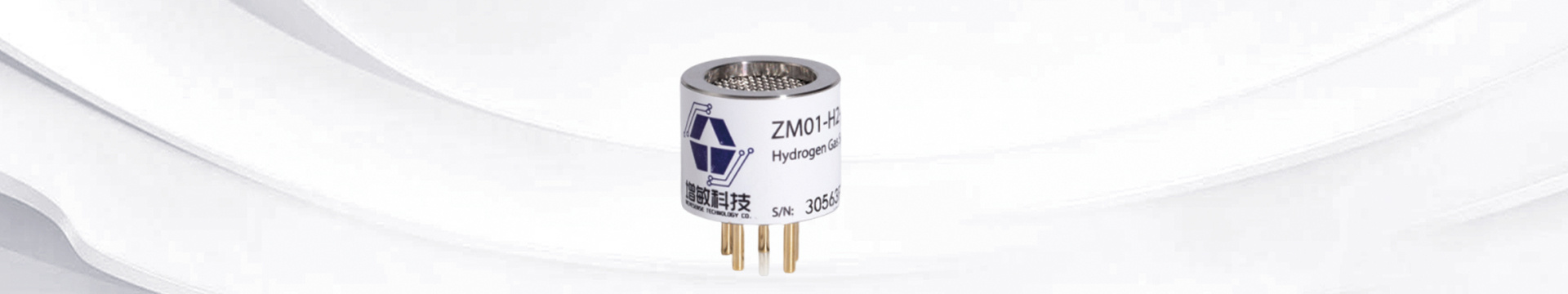 ZM01