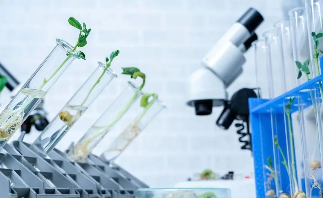 农业和生物气化设施监控