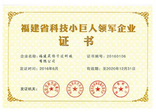 福建省科技小巨人領(lǐng)軍企業(yè)