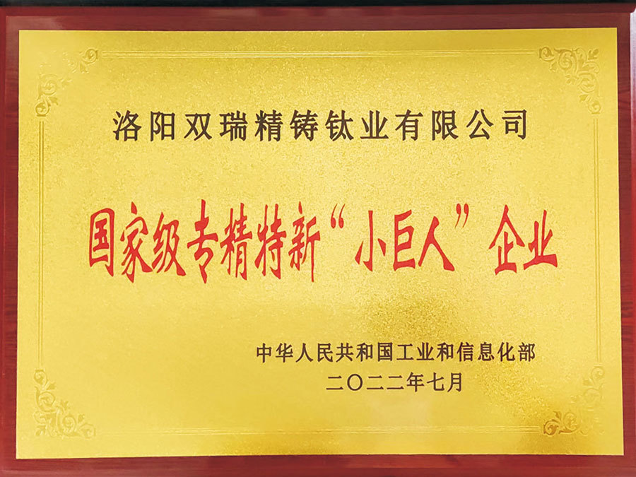 國家級專(zhuān)精特新小巨人企業(yè)