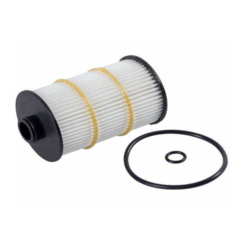Oil filter 079198405d