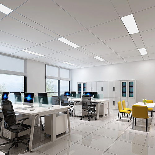 Office Office