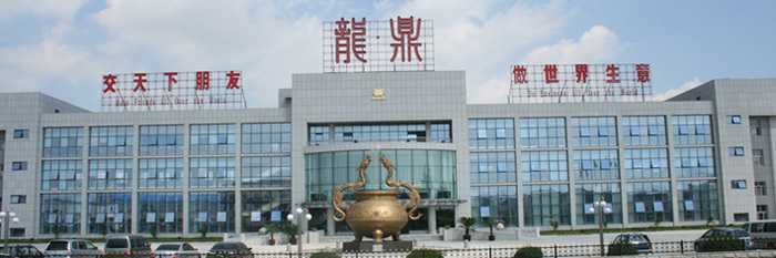 吉林龙鼎电气股份有限公司