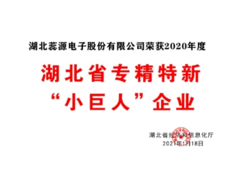 湖北省专精特新 小巨人” 企业