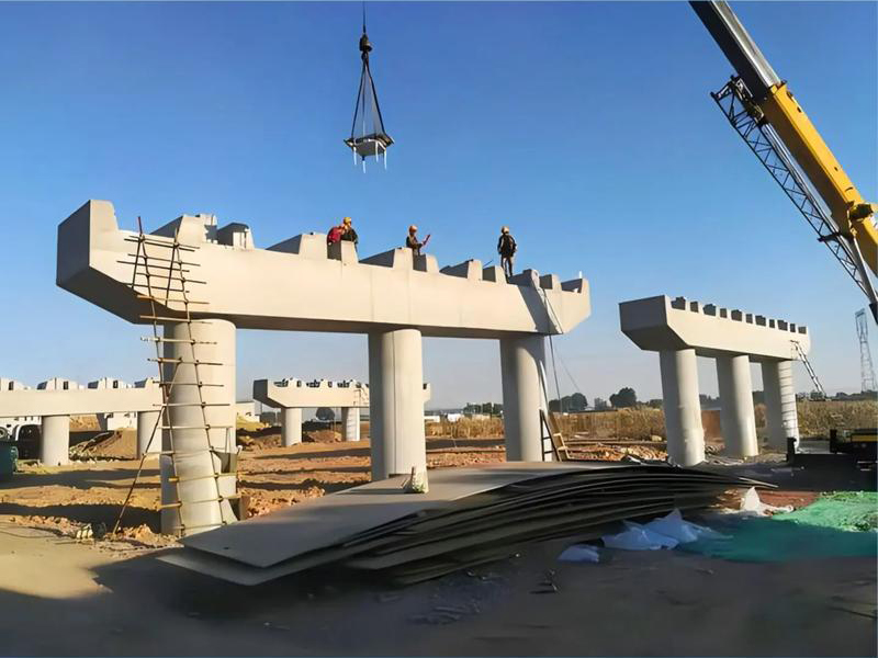 High-speed rail bridge support fixation High-speed rail bridge support fixation