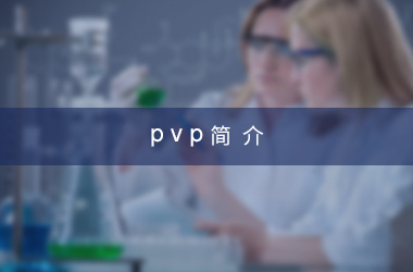 PVP简介 PVP简介