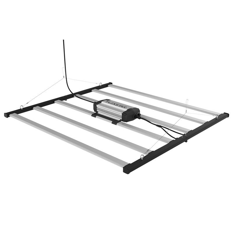 645W folding model