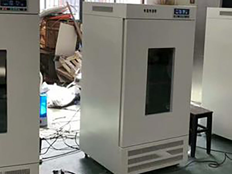 Constant temperature drying oven
