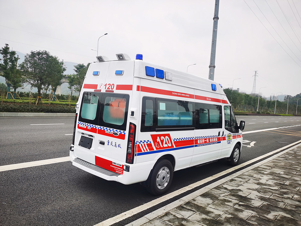 Details of a protective and custodial ambulance Details of a protective and custodial ambulance