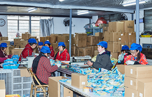 factory factory
