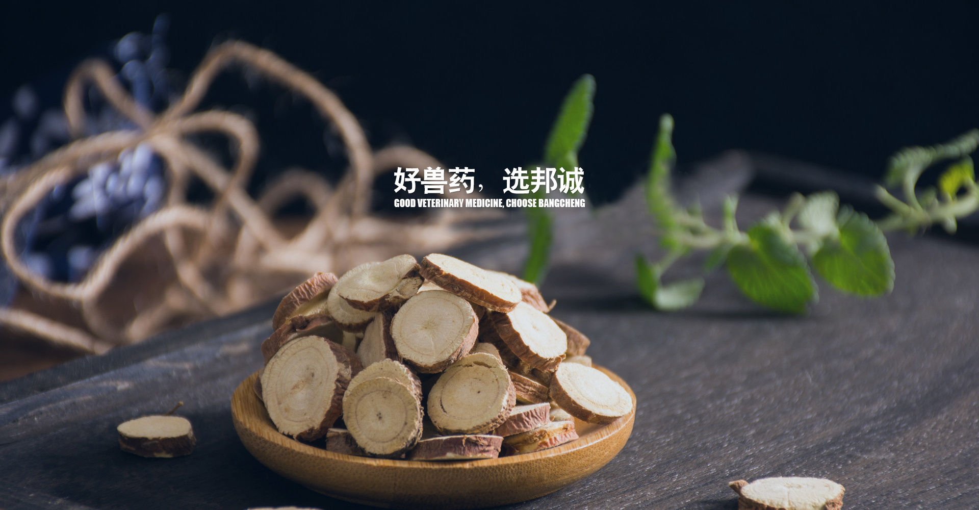 江西邦誠動物藥業有限公司