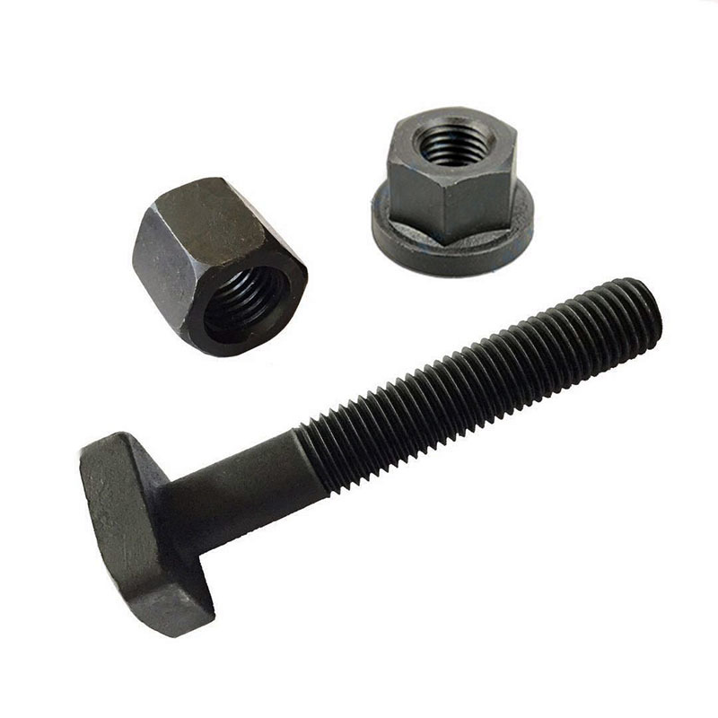 High Strength Grade 4.8 8.8 10.9 12.9 Black Oxide DIN186 T Bolts