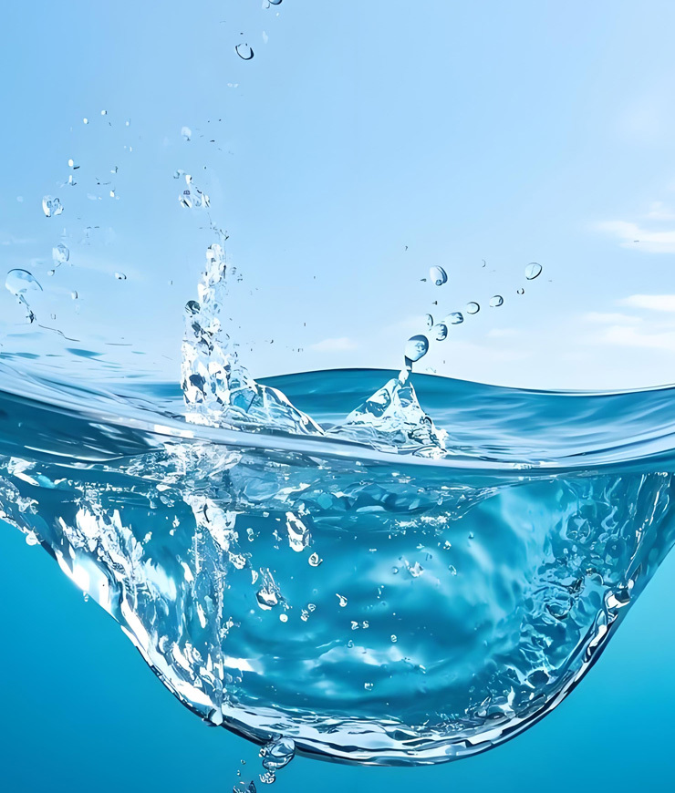 Environmental Desulfurization / Denitrification