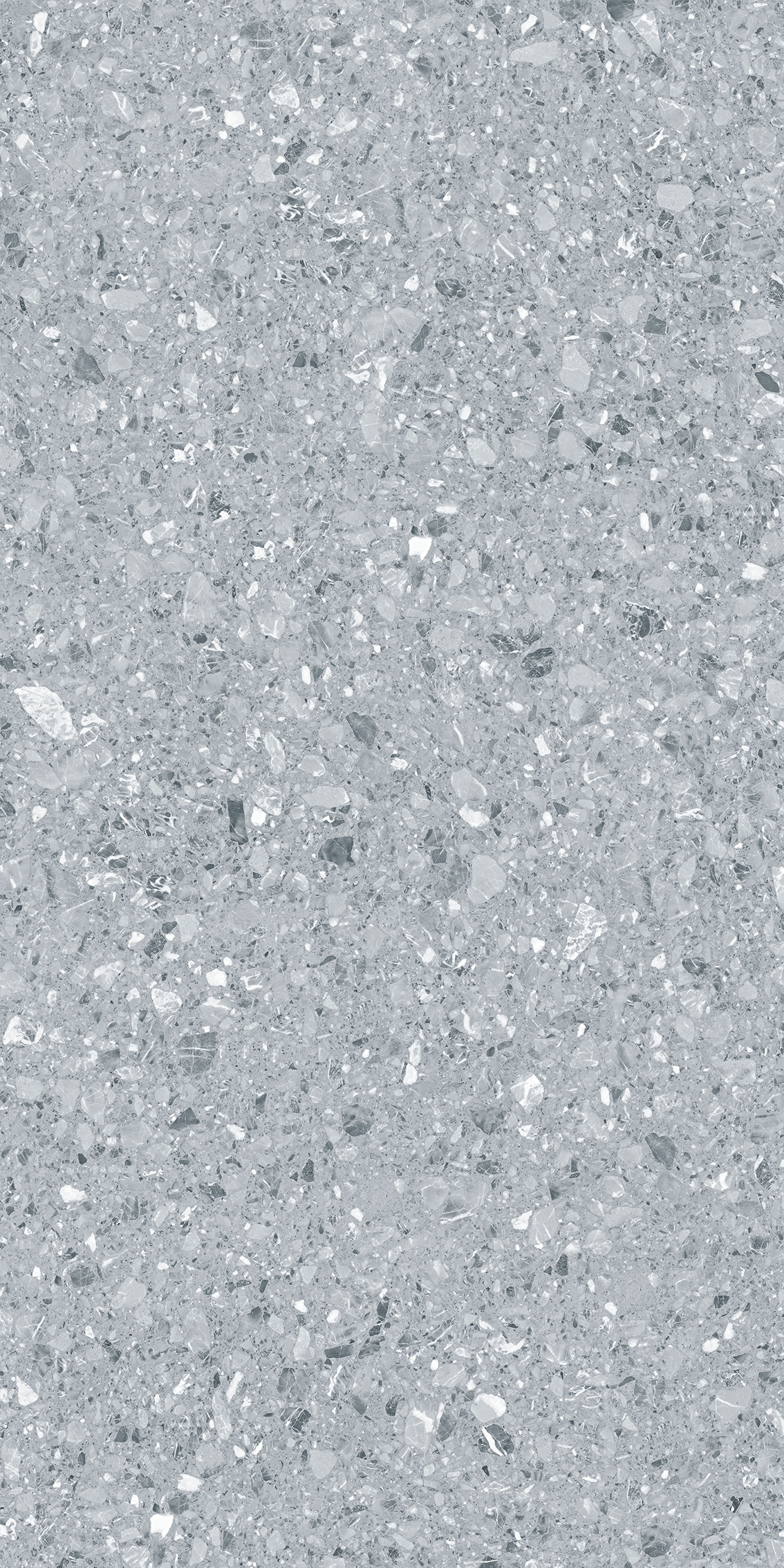 L62GH21GD-3.jpg