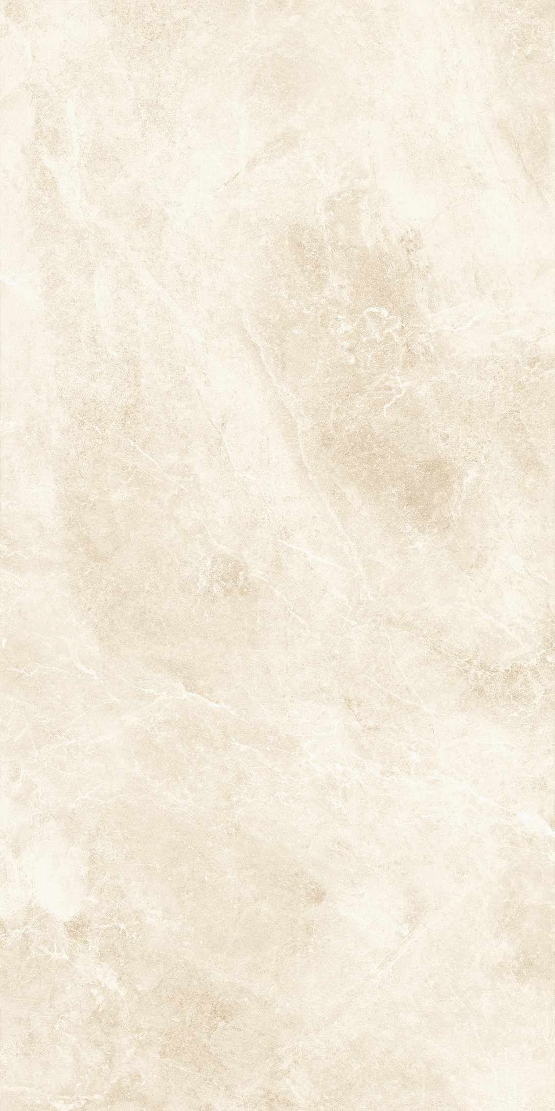 TK21202MG (2).jpg