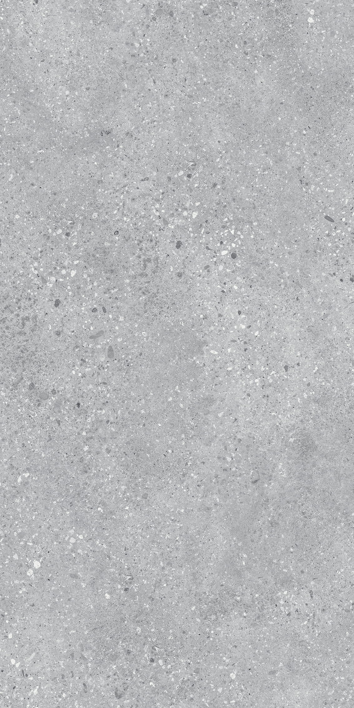L62GH11GD-2.jpg