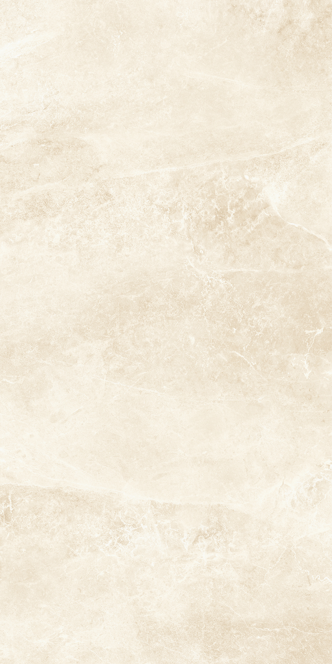 TK21202MG (4).jpg