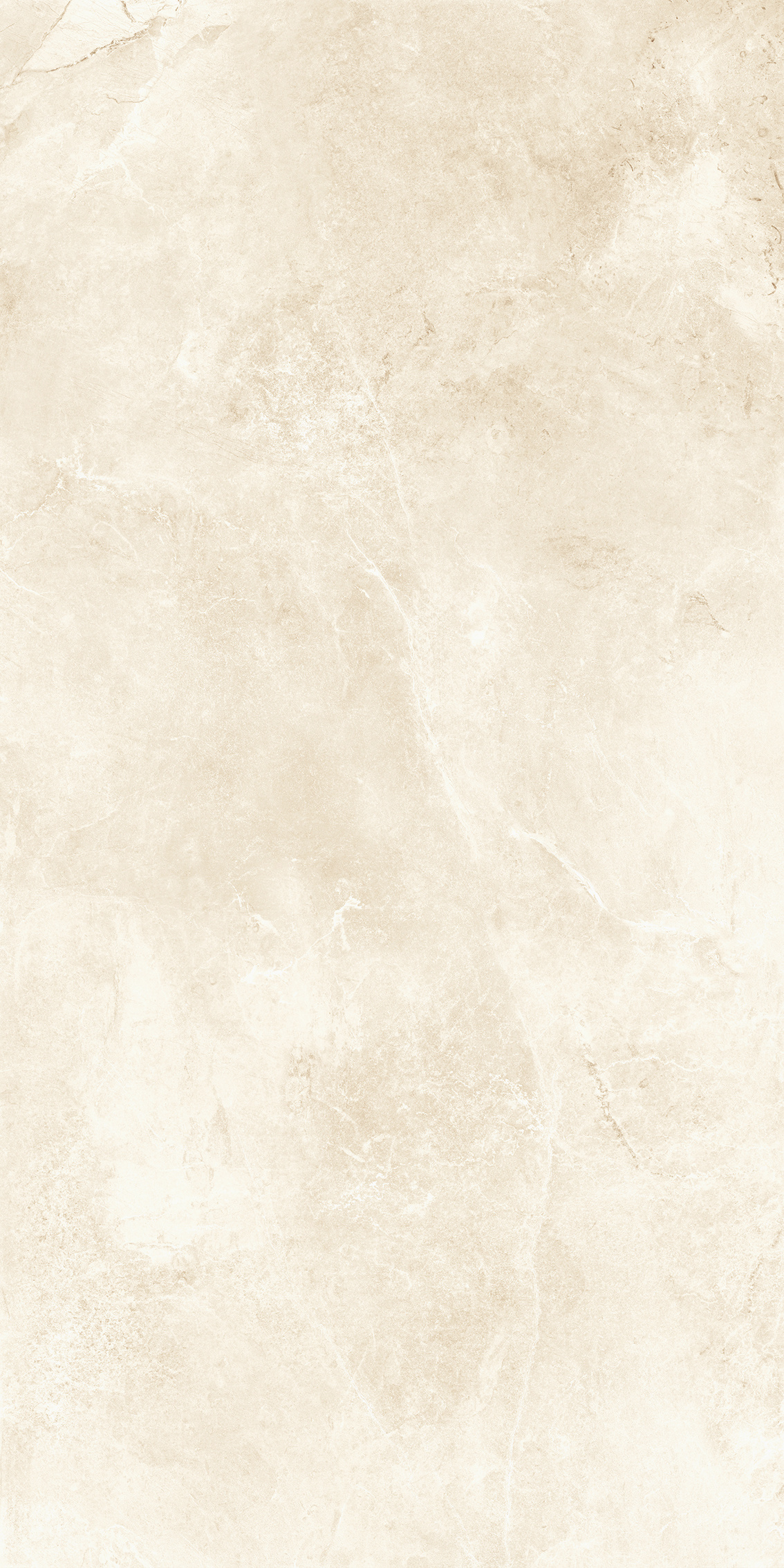 TK21202MG (1).jpg