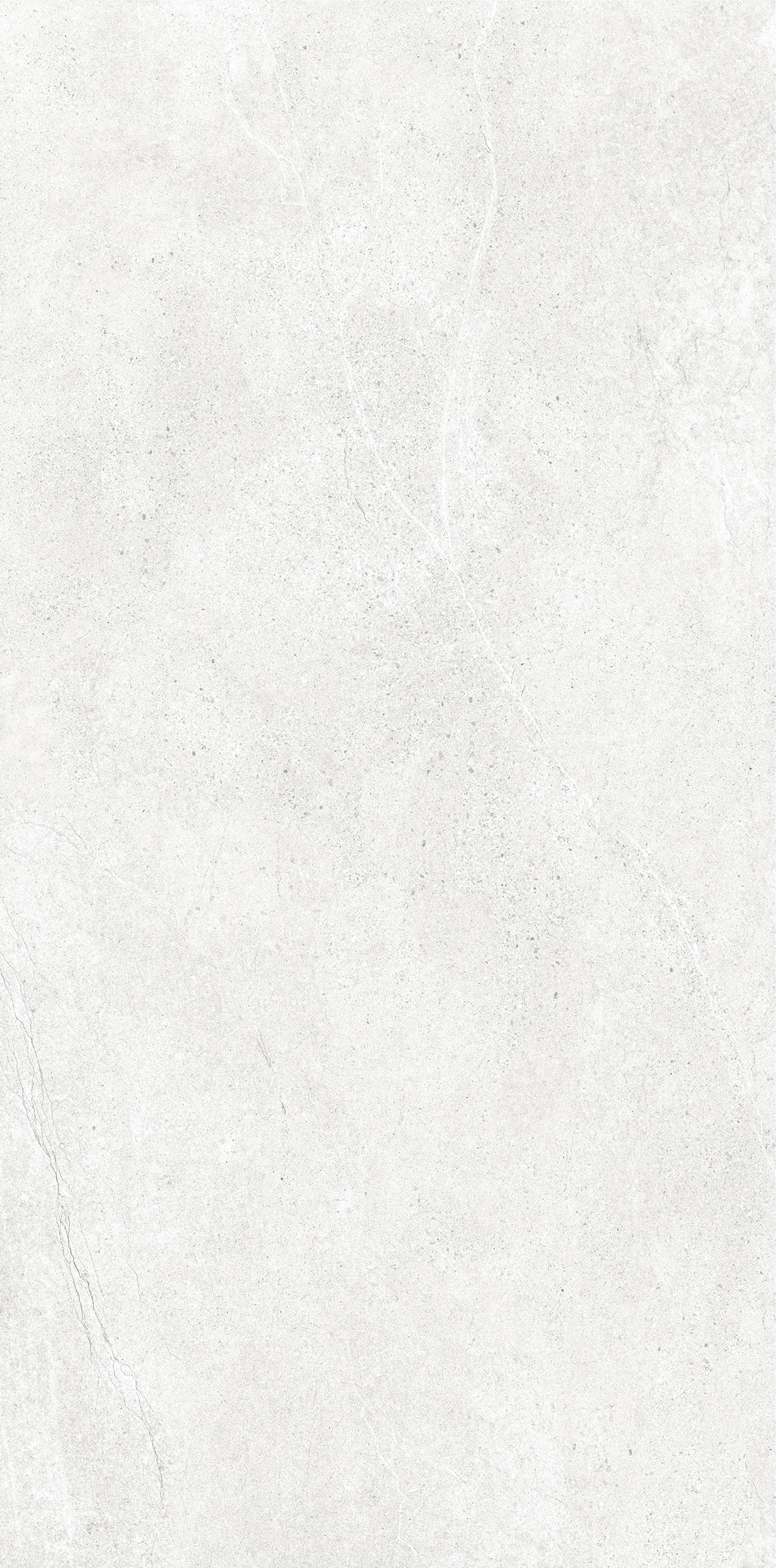 TCW-米白 600x1200-05.jpg