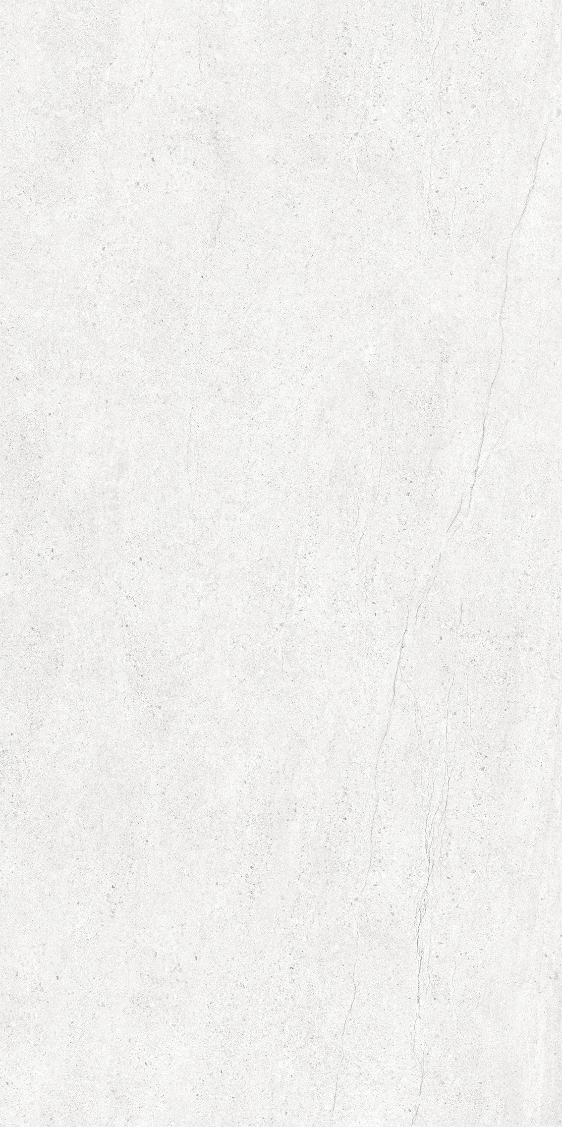 TCW-米白 600x1200-01.jpg