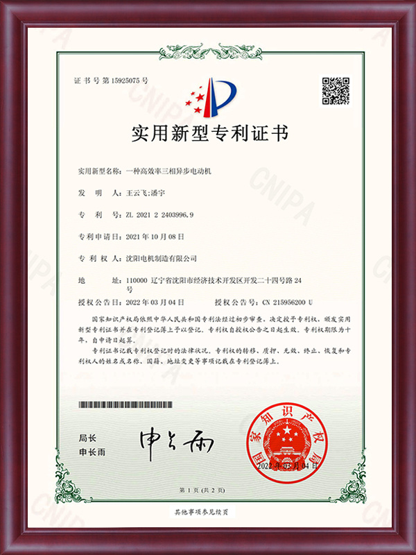 一种高效率三相异步电动机