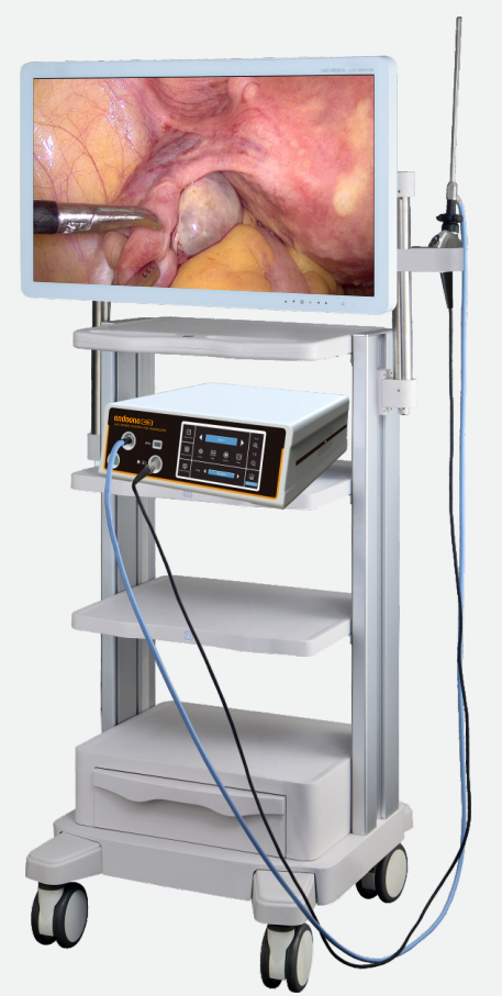 Endoone 4K Imaging System for Endoscopic