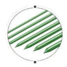 Ureteral dilator set